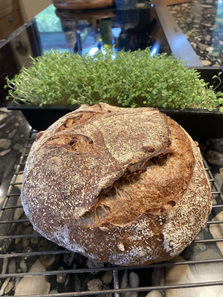 Image #1 from Denise